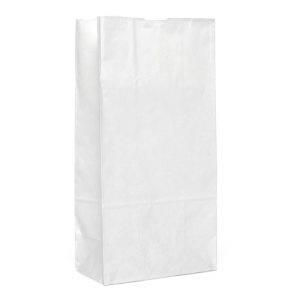 White Grocery Bags (500/Pack)
