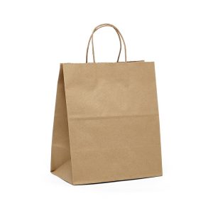 Tamper Resistant Take-Out Shopping Bags (250/Pack)